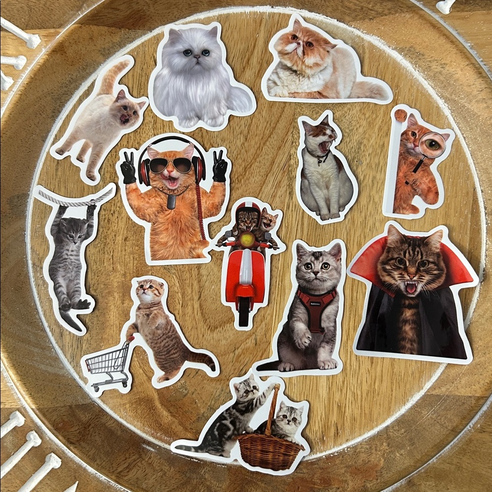💎5/$25 Cat Sticker Set x12 for crazy cat lady or cat lover for water bottle, etc